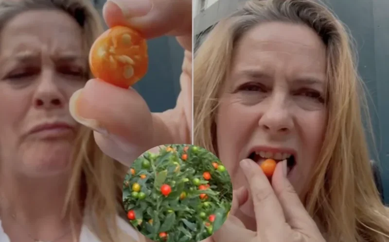 Read more about the article Alicia Silverstone Shocks Fans by Eating ‘Toxic’ Fruit Goes Viral!